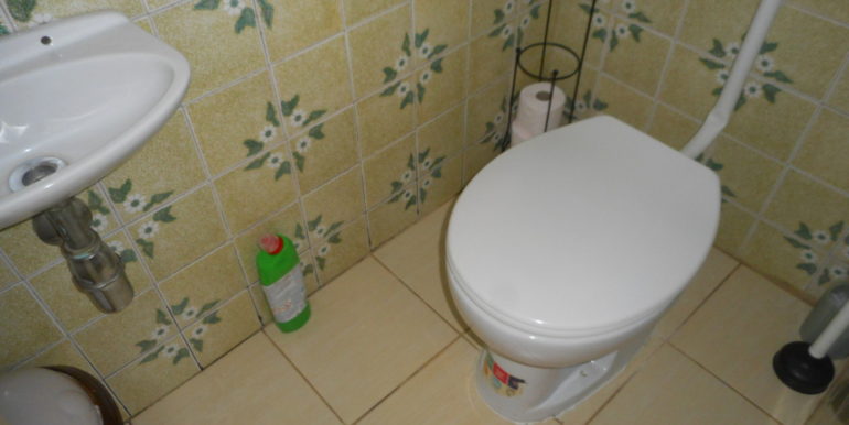 DSCN8737
