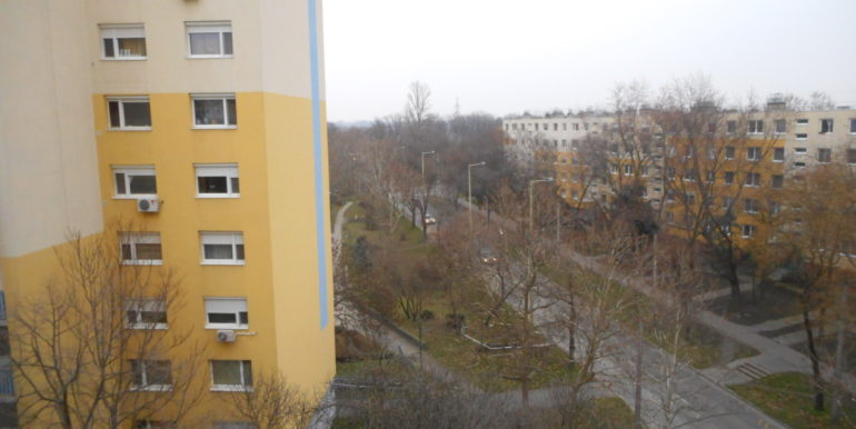 DSCN8933