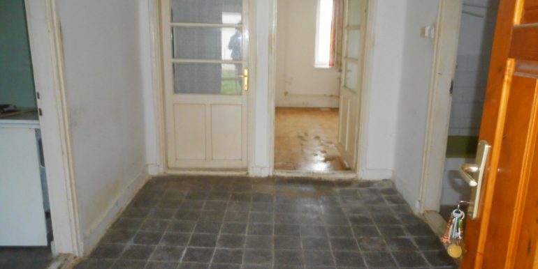 DSCN1173