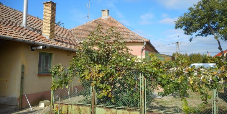 DSCN1809