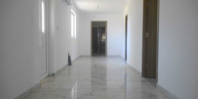 DSCN2521