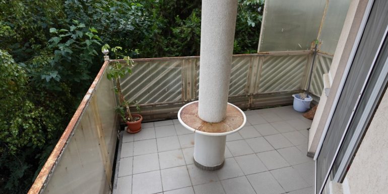 DSC00667